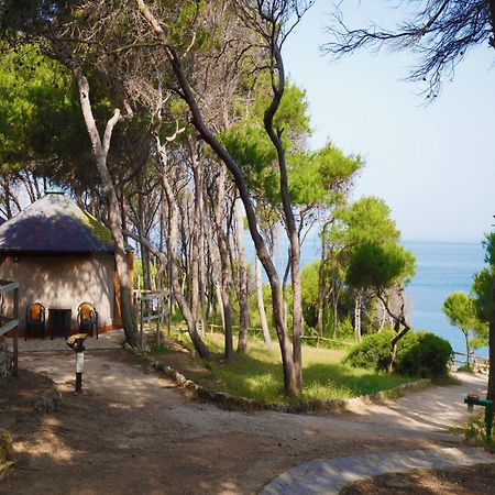 Hotel Touring Club Italiano - Isole Tremiti Isla de Isla de San Domino Zewnętrze zdjęcie
