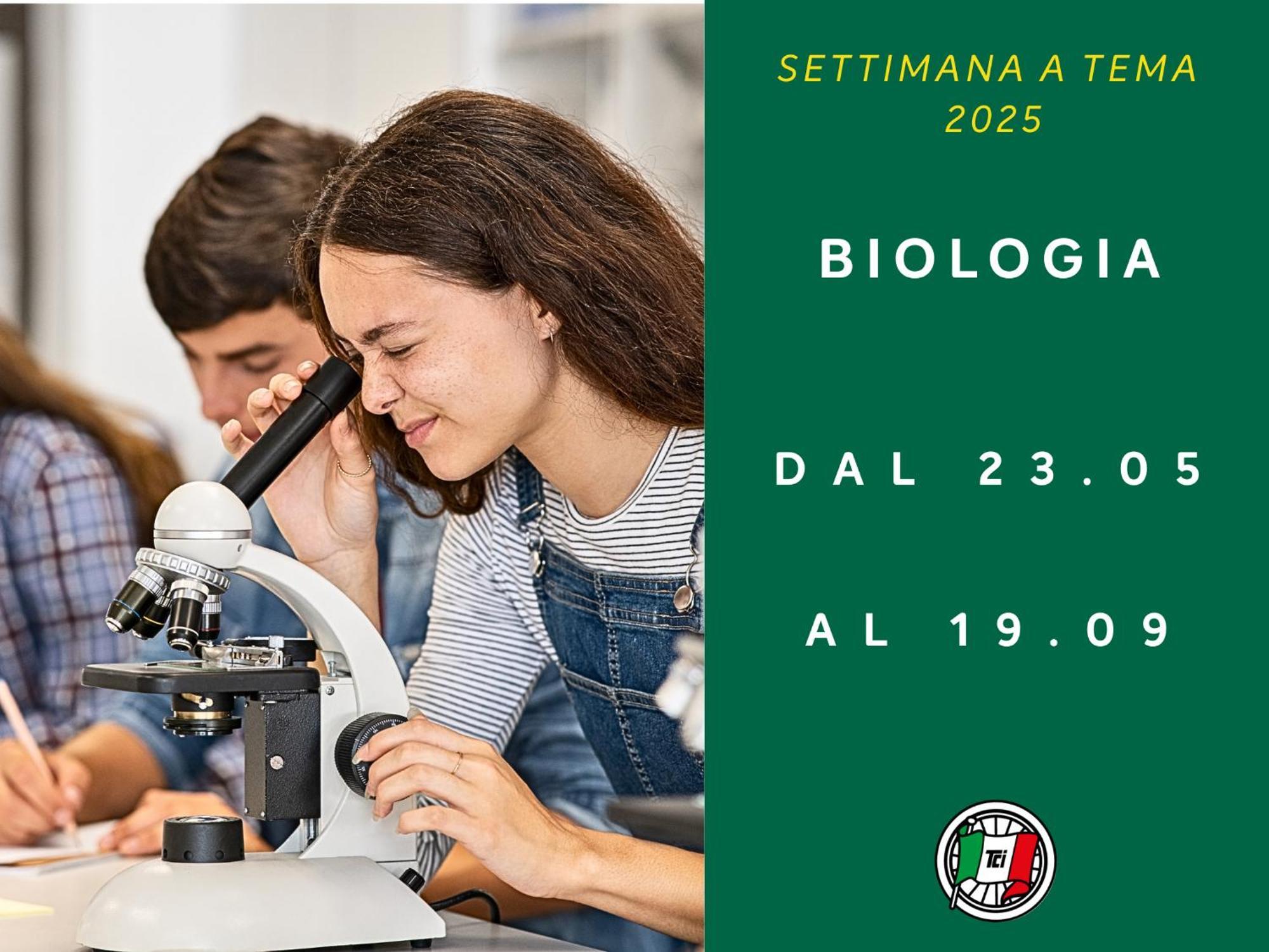 Hotel Touring Club Italiano - Isole Tremiti Isla de Isla de San Domino Zewnętrze zdjęcie