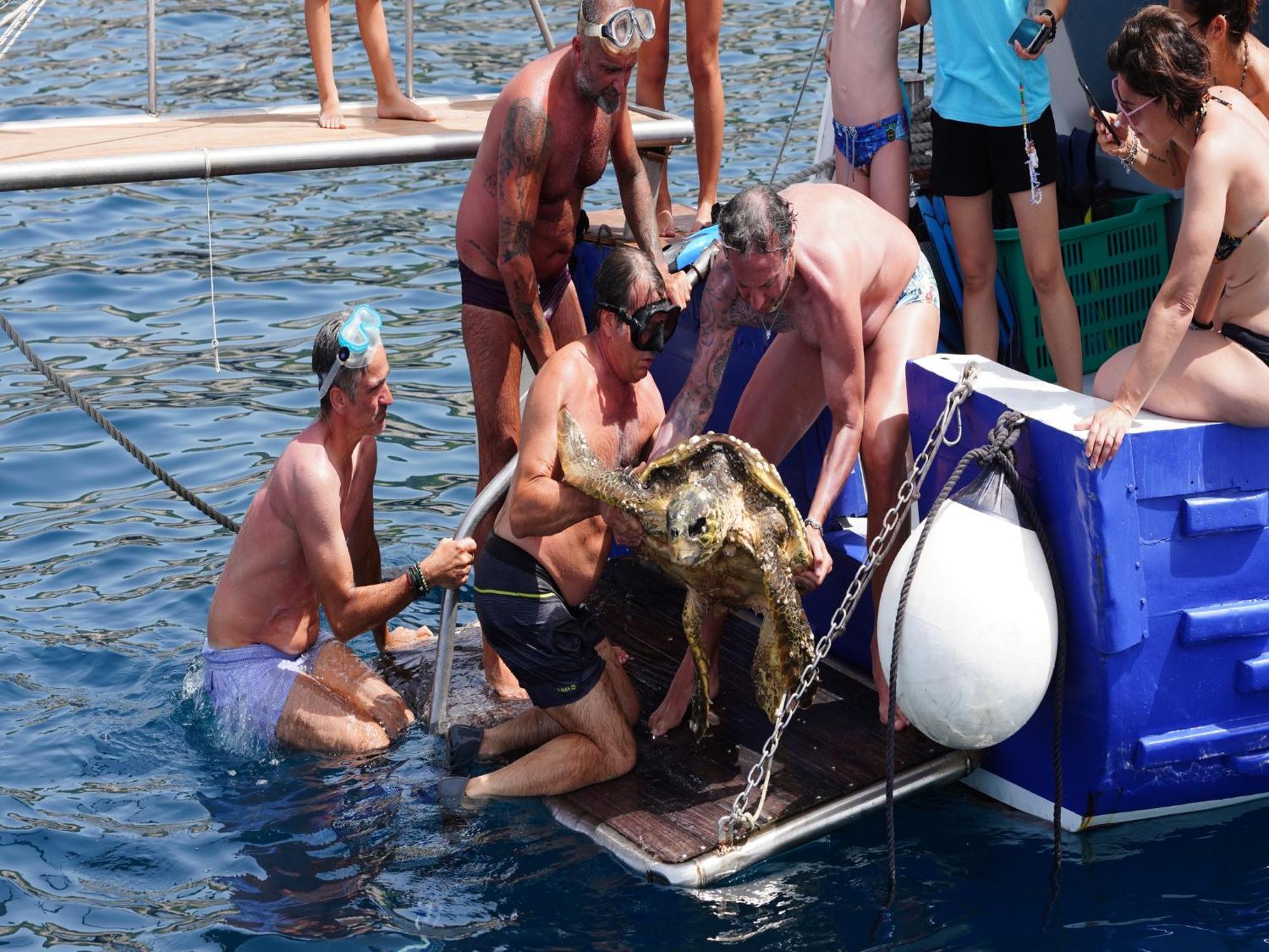 Hotel Touring Club Italiano - Isole Tremiti Isla de Isla de San Domino Zewnętrze zdjęcie